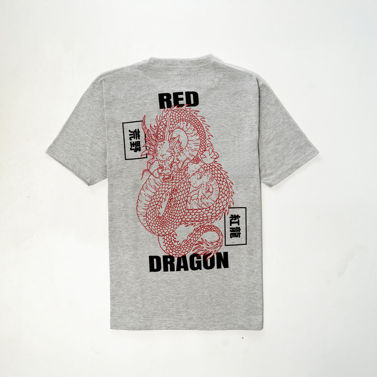 Dragon Printed T-shirts
