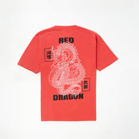 Dragon Printed T-shirts