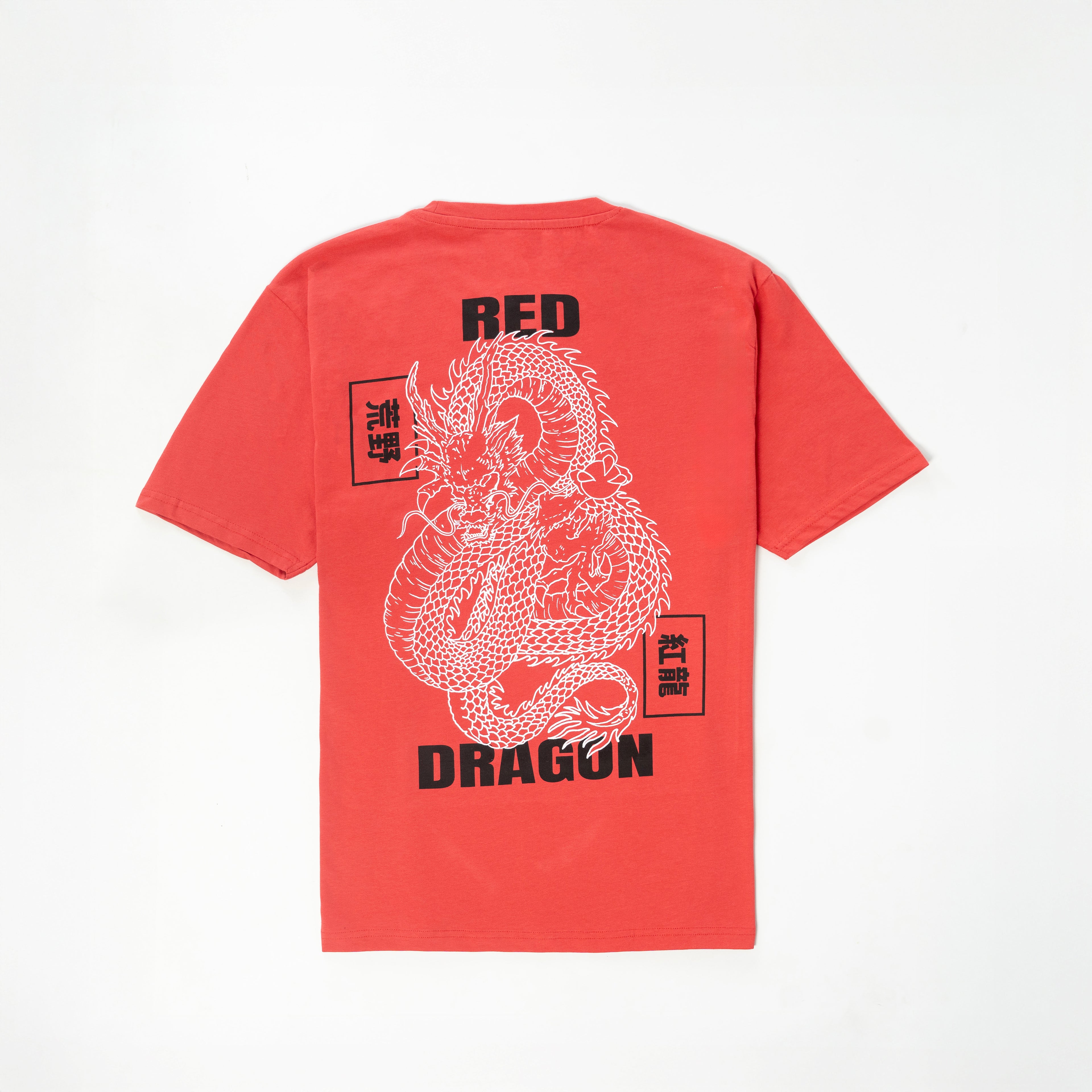 Dragon Printed T-shirts