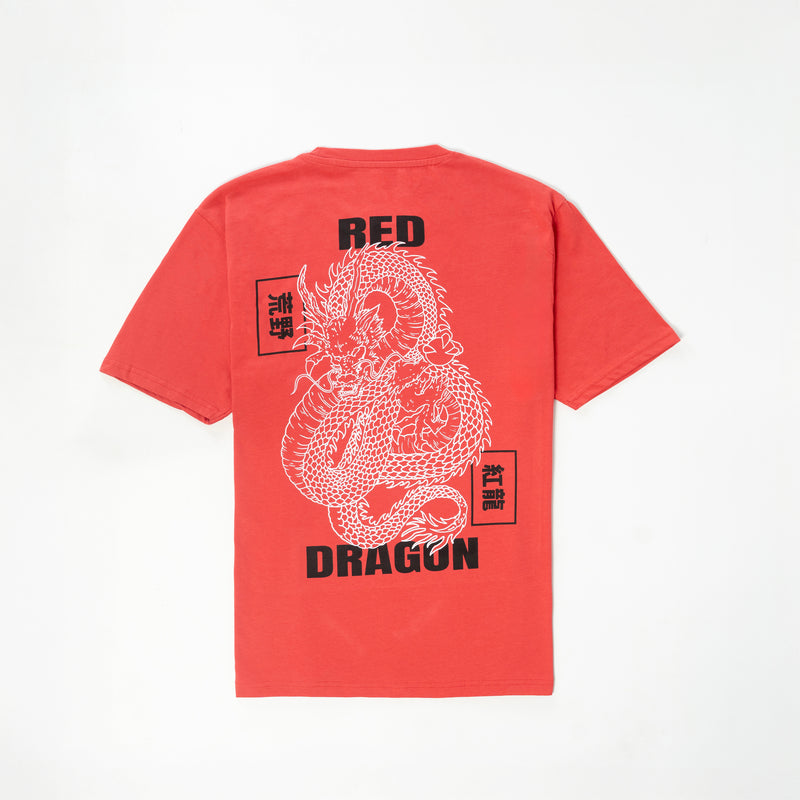 Dragon Printed T-shirts