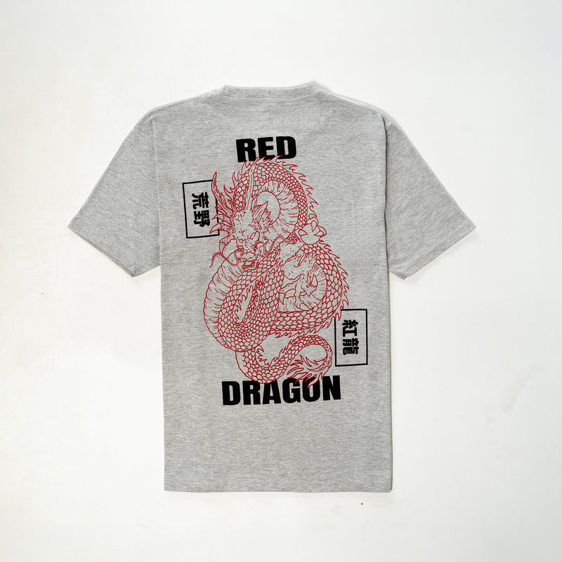 Dragon Printed T-shirts